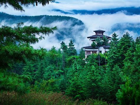  Yueliangshan National Forest Park, en av de mest förtrollande platserna i Shuozhou!