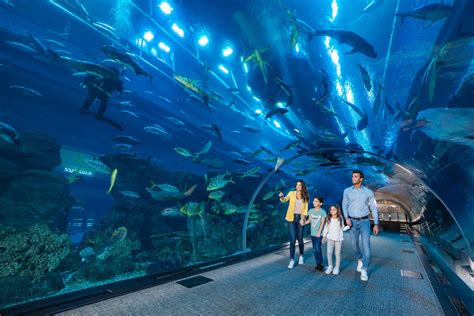 Vill du Uppleva En Magisk Verdens Undervatten? Besök Aquarium Marineland i Nice!