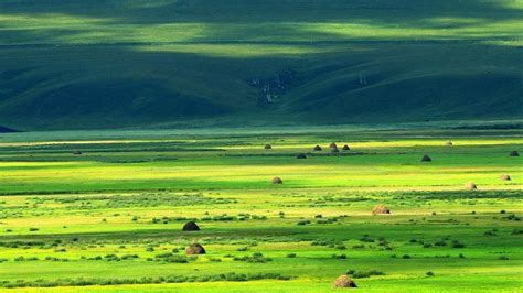 Hulunbuir Beinuo Grassland, En mystisk och majestätisk plats för kontemplation!