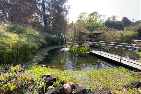 Jardín Botánico del Instituto de Biología: En Upplevelse av Biodiversitet och Stilla Reflektion!