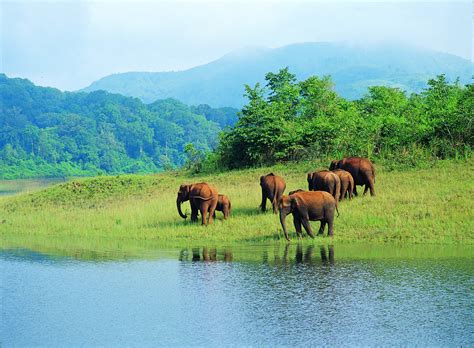 Jinchang Qilian Mountain National Park Enchanting Scenery and Abundant Wildlife!