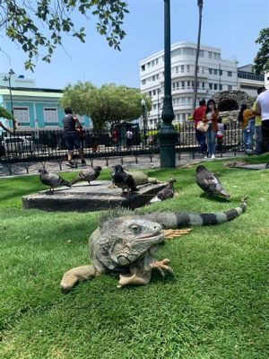  Parque de las Iguanas: En magisk plats fylld av reptiler och lokal kultur