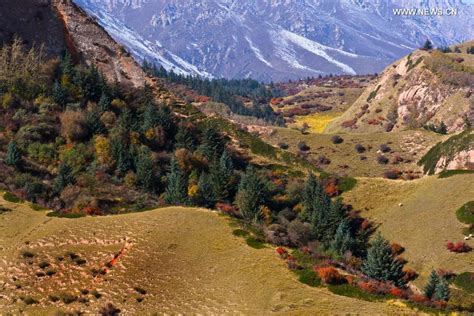 Qilianshan National Park – En majestätisk berg kedja med en rik biologisk mångfald!