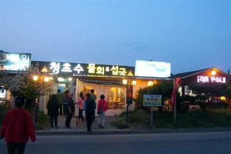 속초 5대 맛집: 바다의 맛과 산의 정기를 한 번에!